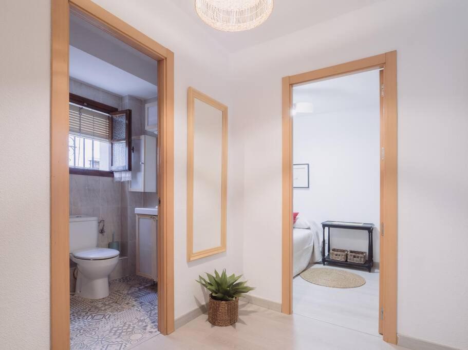 Apartamento Mezquita Premium Córdoba Exterior foto